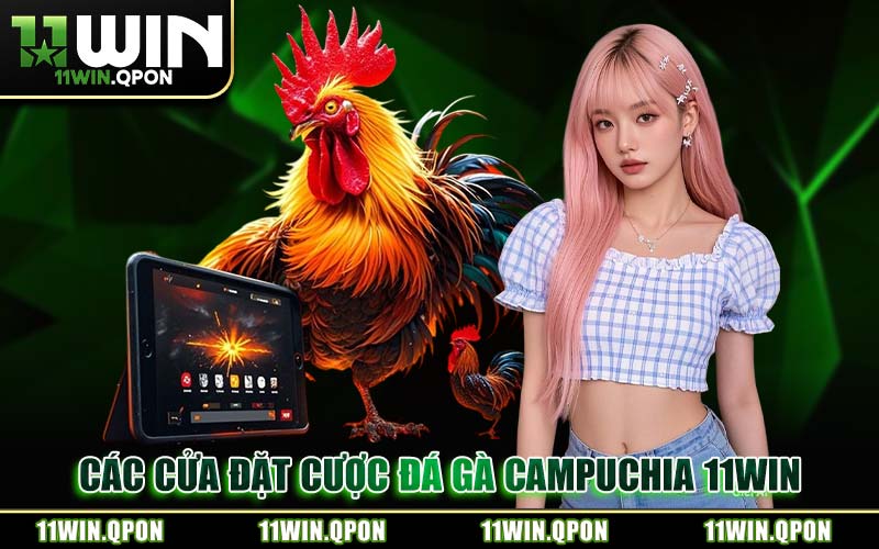 Các Cửa Đặt Cược Đá Gà Campuchia 11WIN