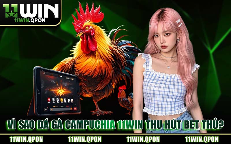Đá Gà Campuchia 11WIN – Trực Tiếp Đấu Trường Thomo Kịch Tính